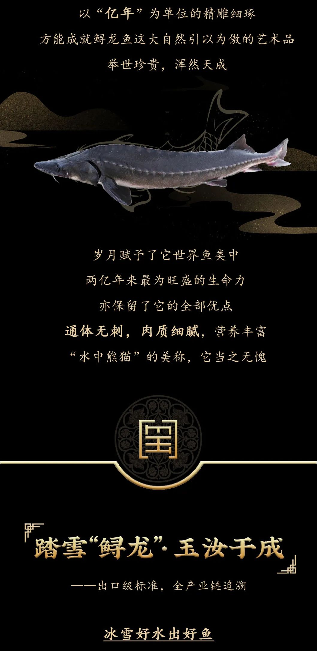 九州鱘龍魚片上新 | 自然臻藏，獻(xiàn)給吃魚有講究的人